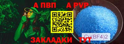 эйфоретик Кингисепп