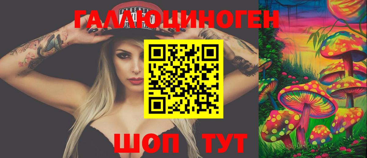 Галлюциногенные грибы Psilocybe Балтийск